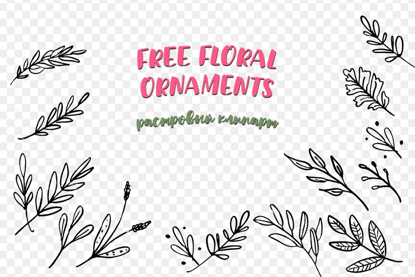 Free Floral Ornaments png