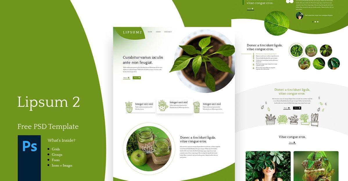 Lipsum 2 - Free PSD Web Site Template